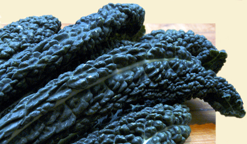 dinosaur kale